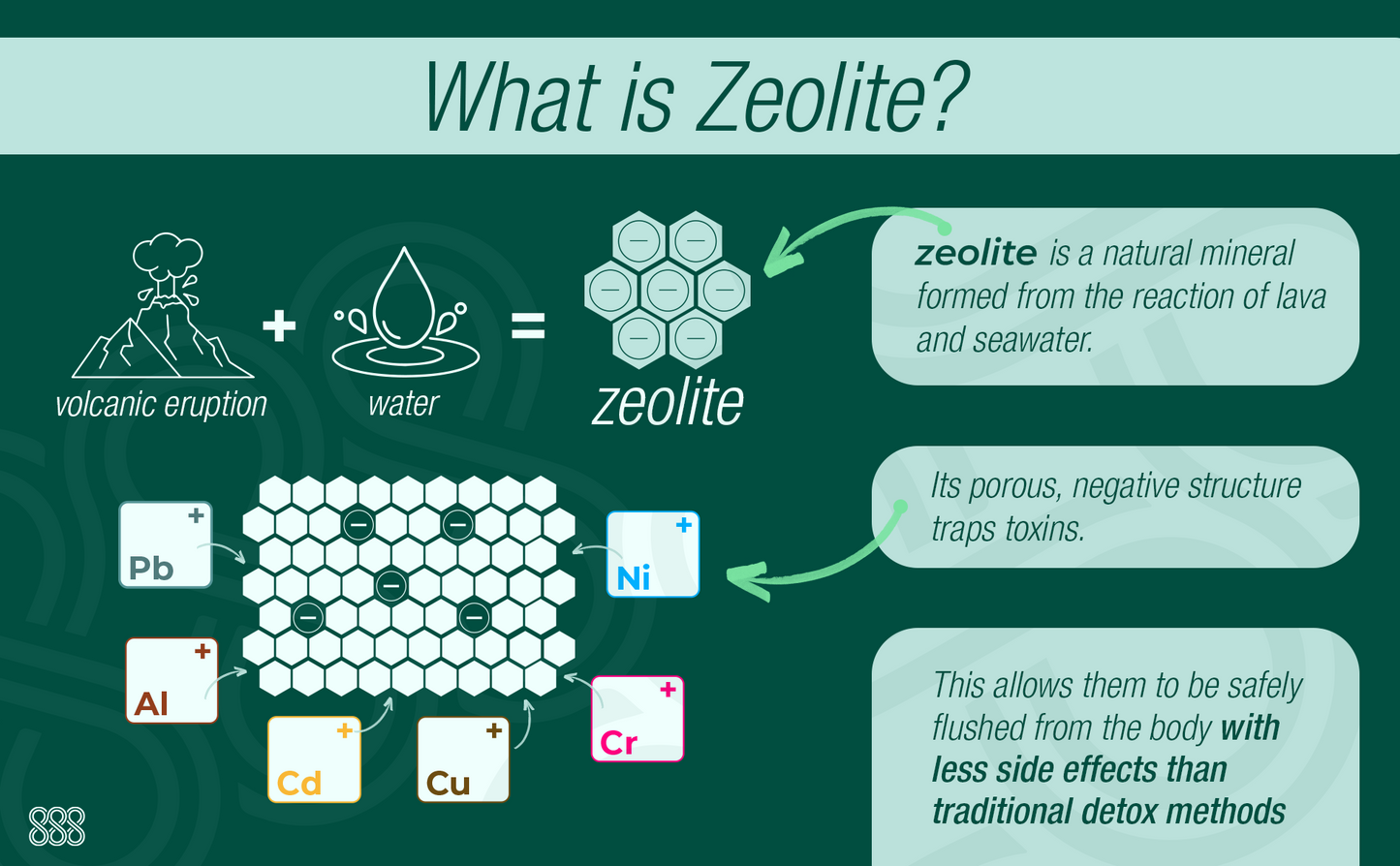 Zeolite Detox Gummies | Heavy Metal Detox Kids | Zeolite Detox for Kids | Heavy Metal Detox | Heavy Metal Detox for Adults | Chlorella | Vegan & Organic